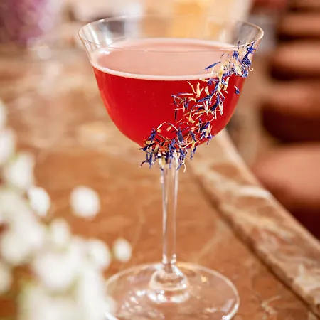 Chateau Des Fleurs & 호텔 파리